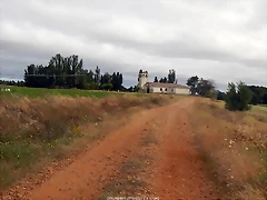 DSCN6465