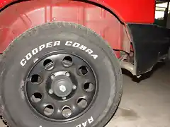 GomasCooperCobra