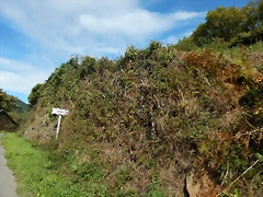 DSCN8675 DSCN8675