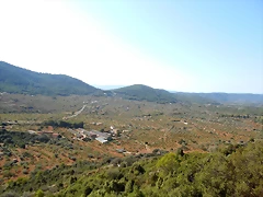 DSCN0442 DSCN0442