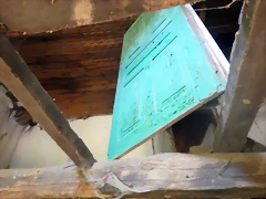DSCN2528 DSCN2528