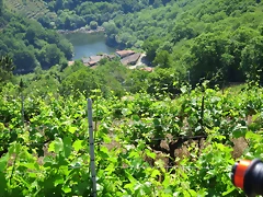 IMG_2769 IMG_2769