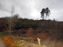 DSCN0329 DSCN0329