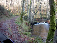 DSCN2071 DSCN2071