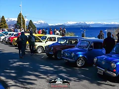 CAS_3857 CAS_3857