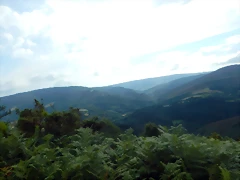 DSCN4413 DSCN4413