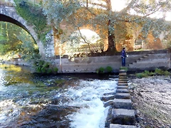 DSCN9742 DSCN9742
