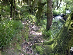 DSCN2796 DSCN2796