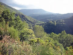 DSCN4289 DSCN4289