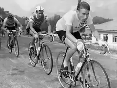 GIRO 1960,ANQUETIL.