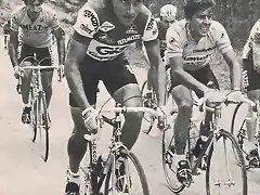 GIRO 1981-SARONNI-CONTINI-P.MUOZ