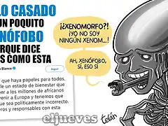 MemesPabloCasado2018-5