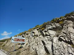 DSCN3695 DSCN3695