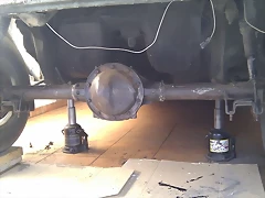IMAG0167 IMAG0167
