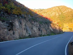 DSCN6524 DSCN6524