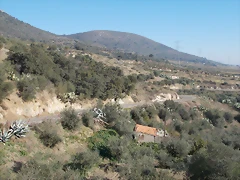 DSCN0213