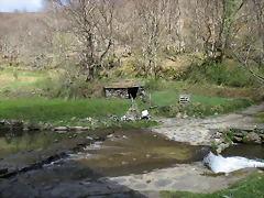 IMG_0140 IMG_0140