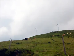 DSCN5898 DSCN5898