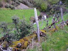 DSCN9092 DSCN9092