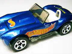 03 Cobra_-_98_Race_Team_4