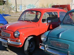 DSC_0225 DSC_0225