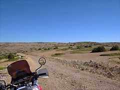 32