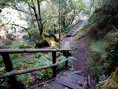 DSCN8473 DSCN8473