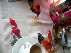 DSCN8390 DSCN8390