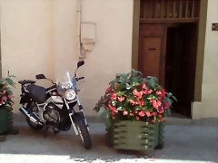 IMG-20170805-WA0004