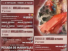 cartel_de_toros_300_2015