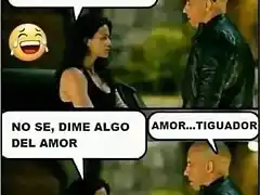 AMOR-TIGUADOR