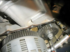 DSCN4505 DSCN4505
