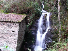 DSCN6317 DSCN6317