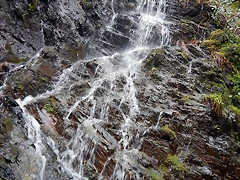 DSCN9255.JPEG DSCN9255.JPEG