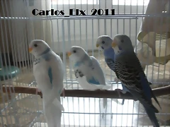 4 adios 3 28-5-2011 4 adios 3 28-5-2011