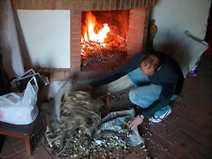 DSCN7403 DSCN7403