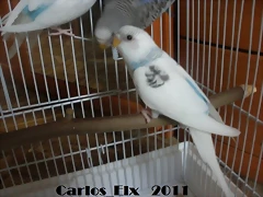 4 adios 1 28-5-2011 4 adios 1 28-5-2011