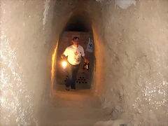 vino bodega vino bodega