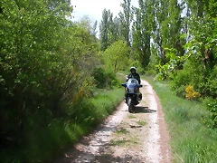 DSCN7244 DSCN7244