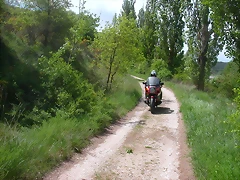 DSCN7247 DSCN7247