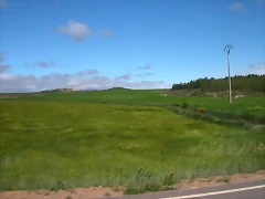 DSCN7387 DSCN7387