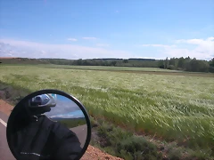 DSCN7385 DSCN7385