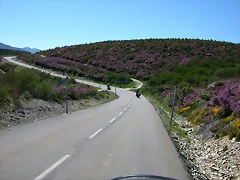 DSCN1794 DSCN1794