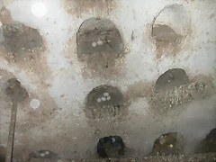 DSCN7422 DSCN7422