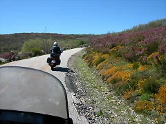DSCN1781 DSCN1781