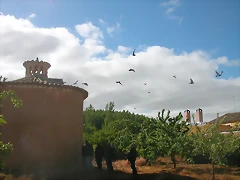 DSCN7411 DSCN7411