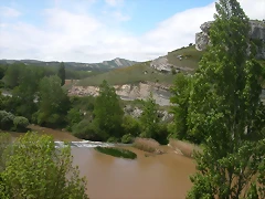 DSCN7264 DSCN7264