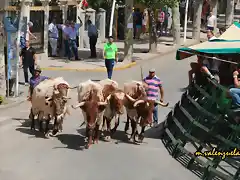 14, por la avenida, marca