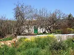 cortijo de julio