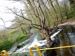 DSCN3481